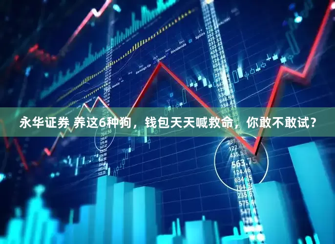 永华证券 养这6种狗，钱包天天喊救命，你敢不敢试？