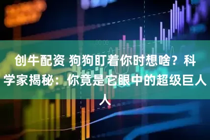 创牛配资 狗狗盯着你时想啥？科学家揭秘：你竟是它眼中的超级巨人