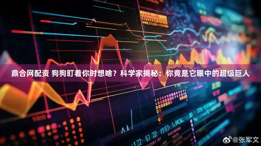 鼎合网配资 狗狗盯着你时想啥？科学家揭秘：你竟是它眼中的超级巨人