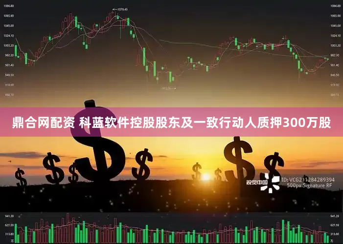 鼎合网配资 科蓝软件控股股东及一致行动人质押300万股