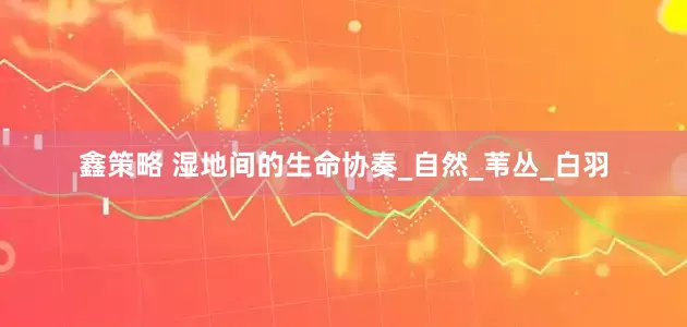鑫策略 湿地间的生命协奏_自然_苇丛_白羽