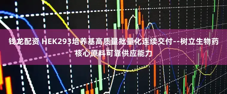 钱龙配资 HEK293培养基高质量批量化连续交付--树立生物药核心原料可靠供应能力