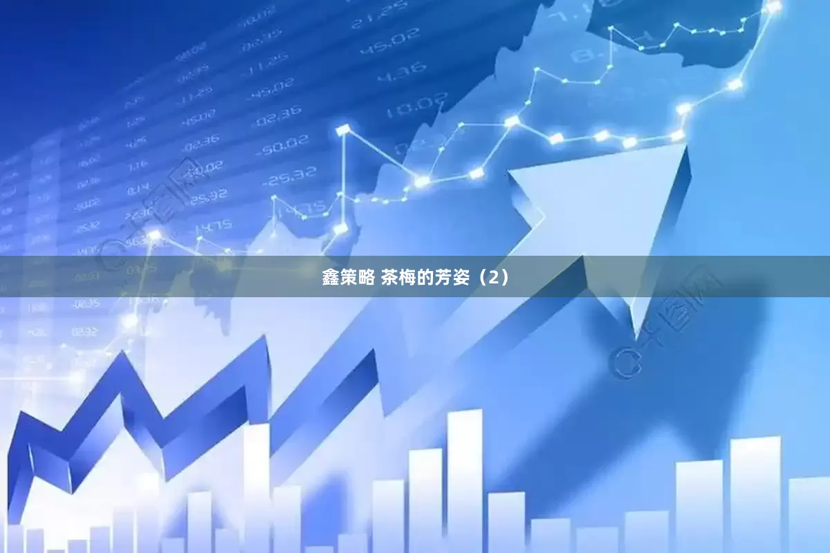 鑫策略 茶梅的芳姿（2）