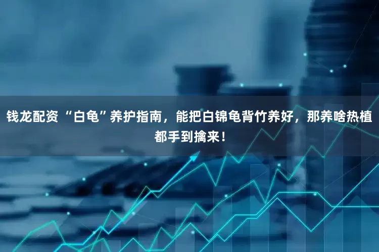 钱龙配资 “白龟”养护指南，能把白锦龟背竹养好，那养啥热植都手到擒来！