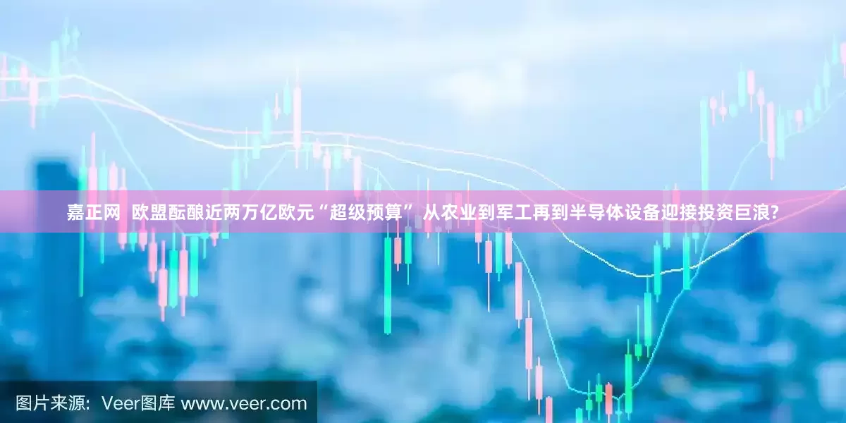 嘉正网  欧盟酝酿近两万亿欧元“超级预算” 从农业到军工再到半导体设备迎接投资巨浪?