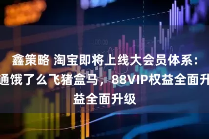 鑫策略 淘宝即将上线大会员体系：打通饿了么飞猪盒马，88VIP权益全面升级
