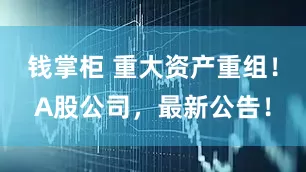 钱掌柜 重大资产重组！A股公司，最新公告！